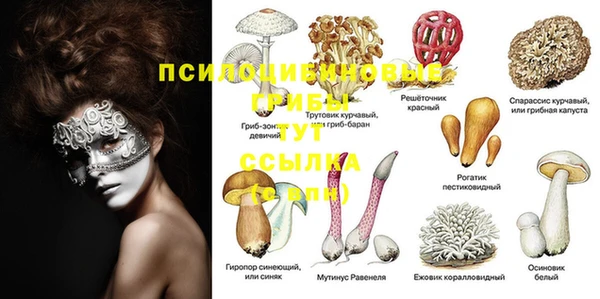 mdma Михайловск
